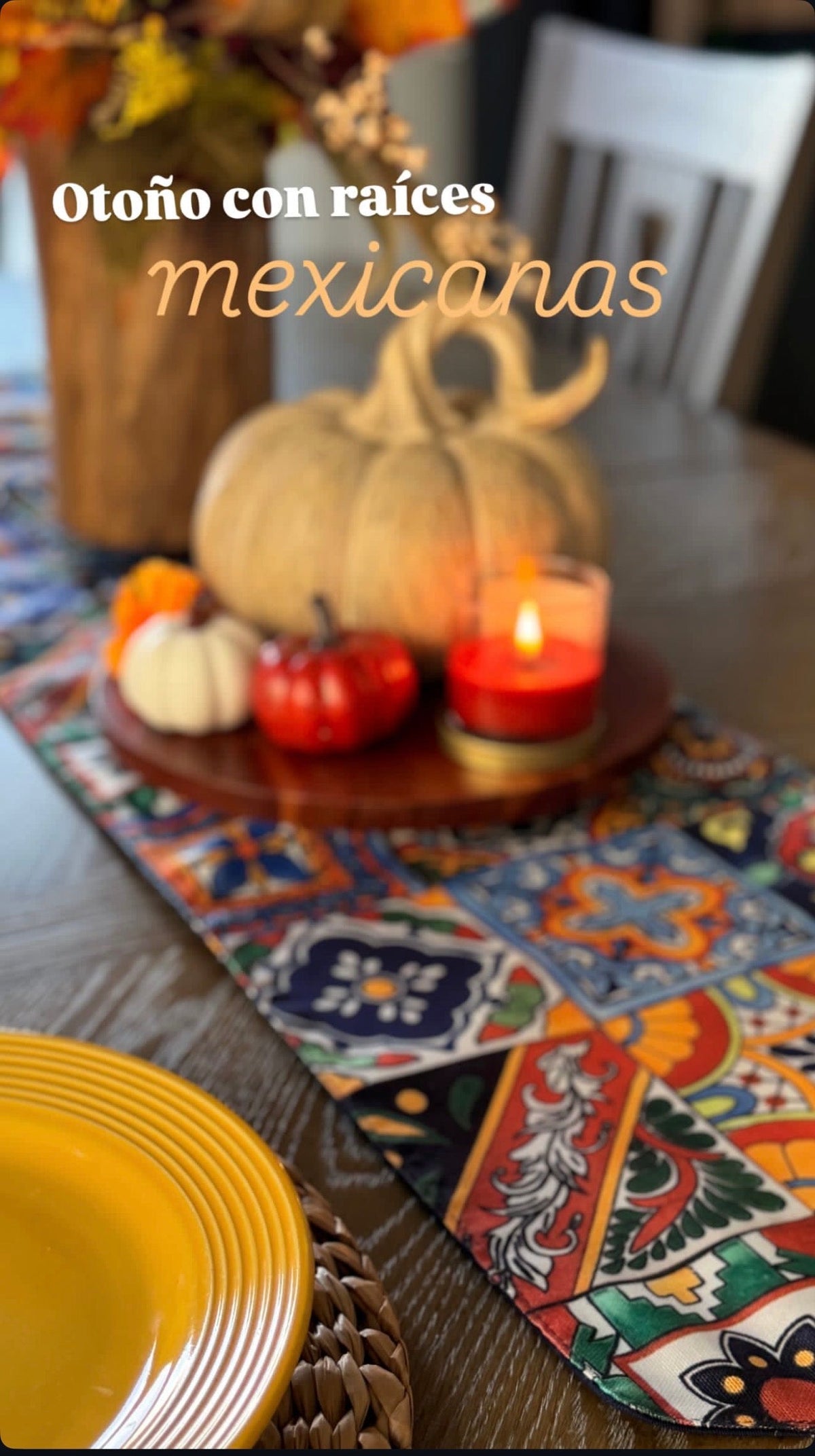 Fall Collection